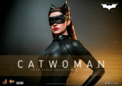 Hot Toys Movie Masterpiece 1/6 Scale Figure - Catwoman (The Dark Knight Trilogy)