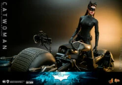 Hot Toys Movie Masterpiece 1/6 Scale Figure - Catwoman (The Dark Knight Trilogy) -Toy Dojo catwoman dc comics gallery 61b033290ff4c