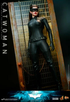 Hot Toys Movie Masterpiece 1/6 Scale Figure - Catwoman (The Dark Knight Trilogy) -Toy Dojo catwoman dc comics gallery 61b0332ac5e08