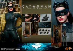 Hot Toys Movie Masterpiece 1/6 Scale Figure - Catwoman (The Dark Knight Trilogy) -Toy Dojo catwoman dc comics gallery 61b0332d0f544