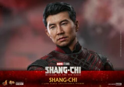 Hot Toys Movie Masterpiece 1/6 Scale Figure - Shang-Chi (Shang-Chi And The Legend Of The Ten Rings) 30 Hot Toys Movie Masterpiece 1/6 Scale Figure - Shang-Chi (Shang-Chi And The Legend Of The Ten Rings) -Toy Dojo shang chi marvel gallery 612e5e60a62bd